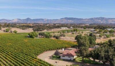 Emily’s Vineyard, Santa Ynez,  CA 3D Model