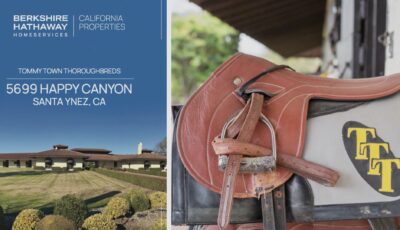 California’s Premier Equestrian Facility 3D Model